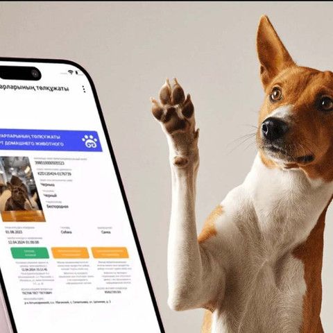 Цифровой паспорт для питомцев добавили в eGov Mobile