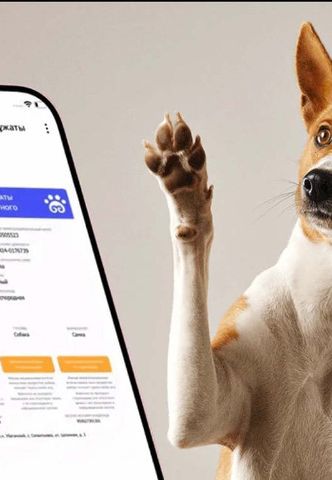 Цифровой паспорт для питомцев добавили в eGov Mobile