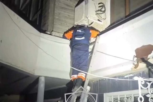 В Семее спасатели освободили кошку из-под крыши магазина