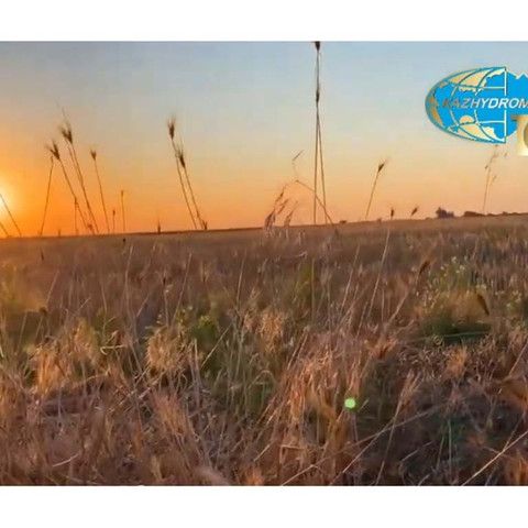 Рекорд жары, установленный 111 лет назад, побит в Казахстане