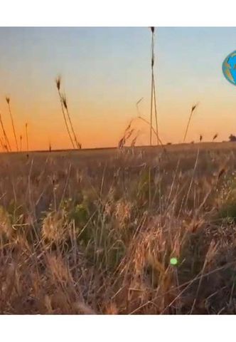 Рекорд жары, установленный 111 лет назад, побит в Казахстане