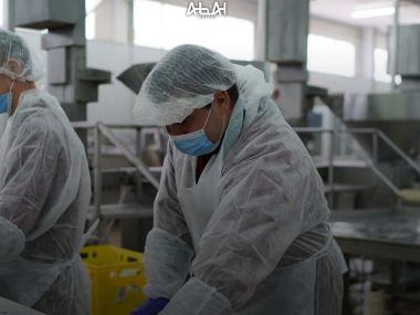 В области Абай планируется начать строительство мясокомбината