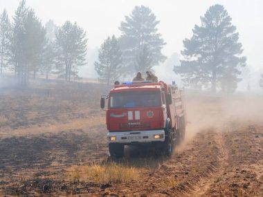 Лесной пожар в Бескарагайском районе области Абай ликвидирован