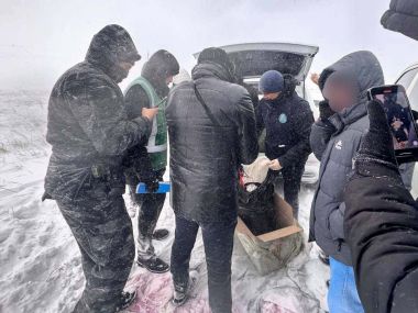 В области Абай перекрыт крупный канал поставки наркотиков