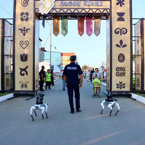 Роботизированные собаки впервые заступили на службу в ВКО