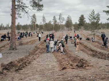 В Семее высажено более 23 тысяч саженцев