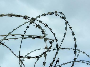 Задержан подозреваемый в жестоком убийстве осужденного в области Абай