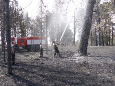 В районе пожара в &laquo;Семей орманы&raquo; начался дождь