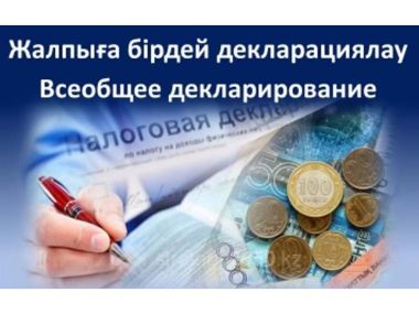 Всеобщее декларирование: Кто обязан представить входную декларацию в 2025 году?