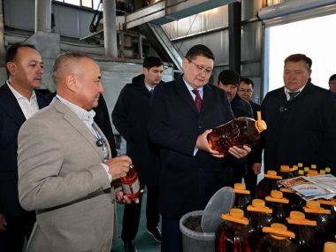 Количество новых производственных предприятий увеличивается в Урджарском районе