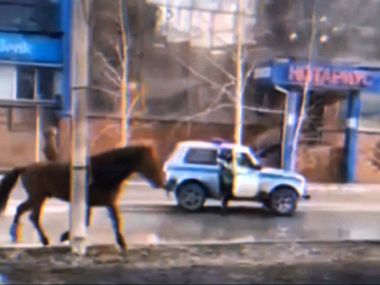 Лошадь разгуливала в центре города