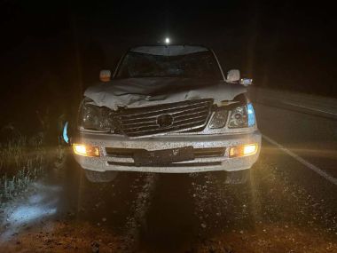 Лось стал причиной аварии в области Абай