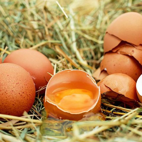 Сколько яиц можно съесть без вреда для здоровья