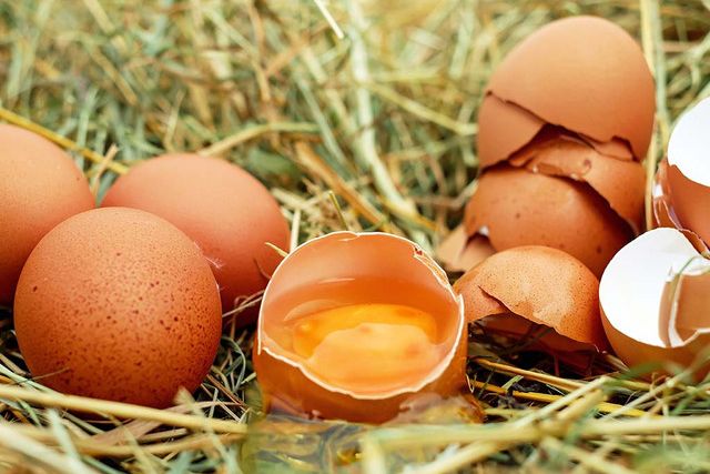 Сколько яиц можно съесть без вреда для здоровья