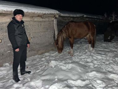 В ВКО пастуха подозревают в скотокрадстве более чем на 5 миллионов тенге
