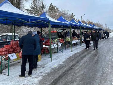 Осенняя ярмарка в Семее: сельхозпродукция по сниженным ценам