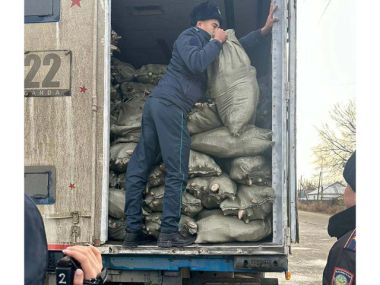 Грузовик с крупной партией рыбы без разрешительных документов задержали в области Абай