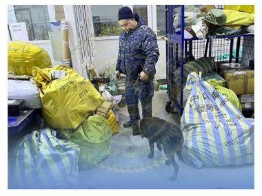 Полицейские области Абай с помощью служебных собак проверяют почтовые посылки