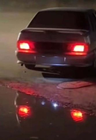 Опасный манёвр на подвесном мосту: полицейские оперативно установили водителя