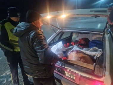 В области Абай задержаны семь скотокрадов