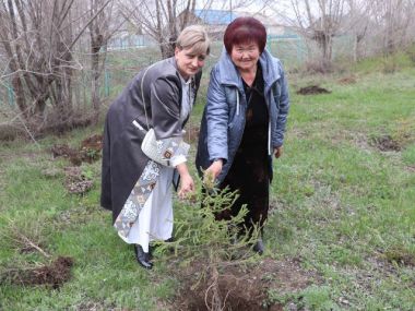 Представители разных национальностей внесли свой вклад в озеленение области Абай