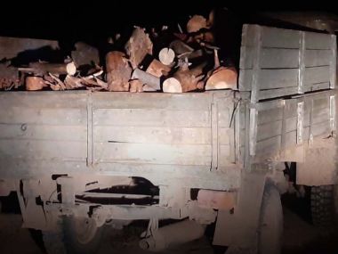 В Бескарагайском районе выявлен факт незаконной вырубки деревьев