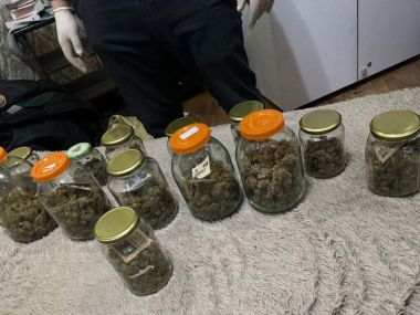 В ВКО ликвидированы две фитолаборатории по выращиванию наркотических растений