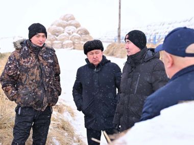 Делегация Татарстана ознакомилась с хозяйствами области Абай