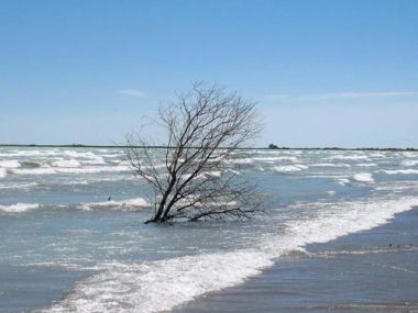 Балхаш, Каспий и Арал получили рекордные объёмы воды