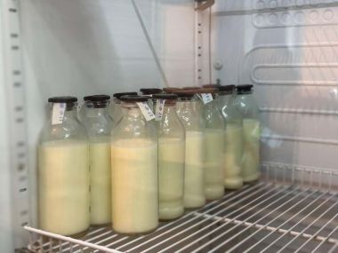 «Дети могут остаться без питания»: молочная кухня области Абай снова в беде