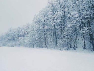 Во всех областях объявлено штормовое предупреждение