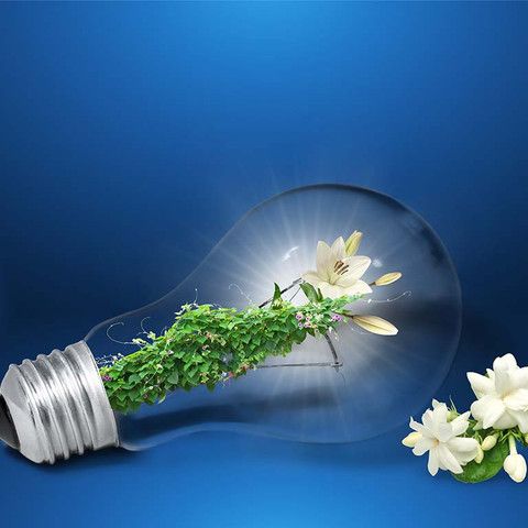 Планируемые отключения электроэнергии на 26 августа