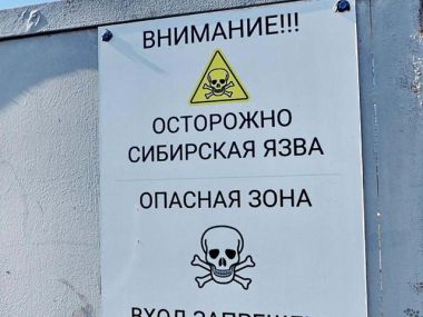 Карантин объявлен из-за выявленного бруцеллеза у скота в Костанайской области