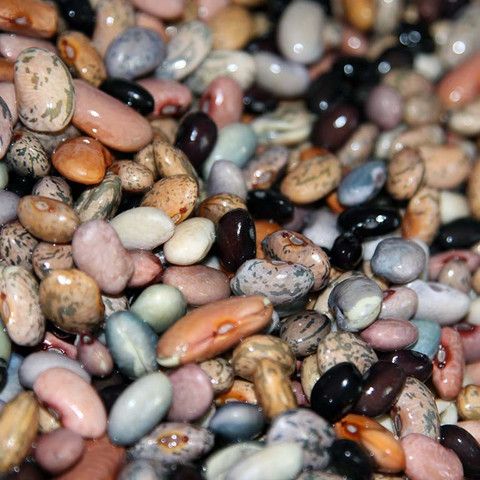 Народный рецепт: Правило долгожителей - фокус на растения (мало мяса, много бобовых)!