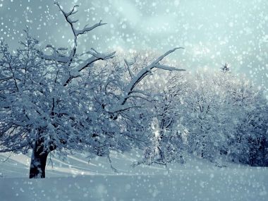 Снегопад ожидается 19 декабря в Казахстане