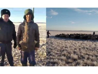 Пастуха и пропавший скот искала всю ночь полиция области Абай